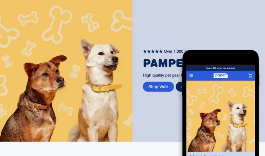 pull preset paper shopify theme