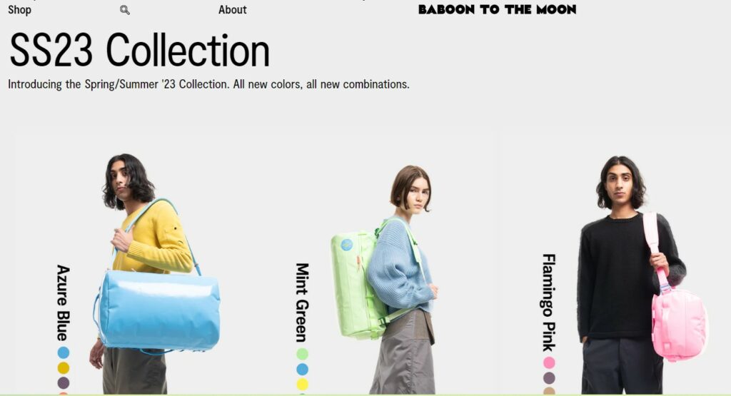 Baboon To The Moon