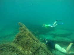 Reefs and trails await underwater explorers just beneath the surface of the ocean's warm, blue waters off the shoreline in Broward and Palm Beach counties.