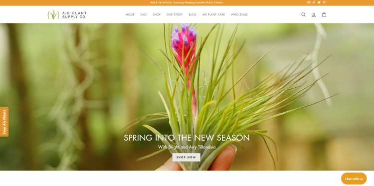 Air Plant Supply Co.