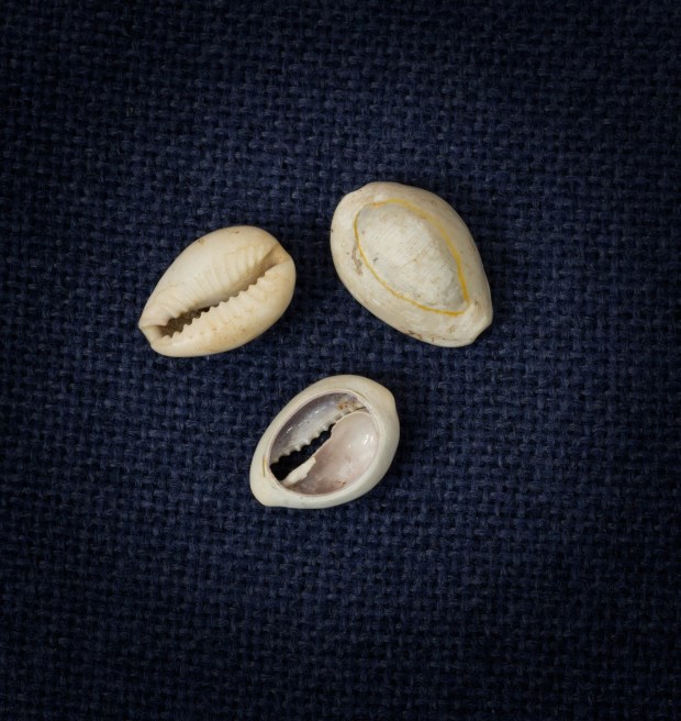 One type of artifact that reflects both the traumatic journeys and remarkable resiliency of slaves is cowrie shells, external casings for sea snails native to the Indian and Pacific oceans that acted as money throughout the Indo-Pacific and sub-Saharan Africa for centuries. Courtesy of The Art Museums of Colonial Williamsburg