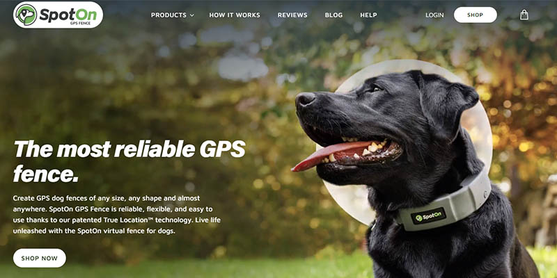 Pet Care Product