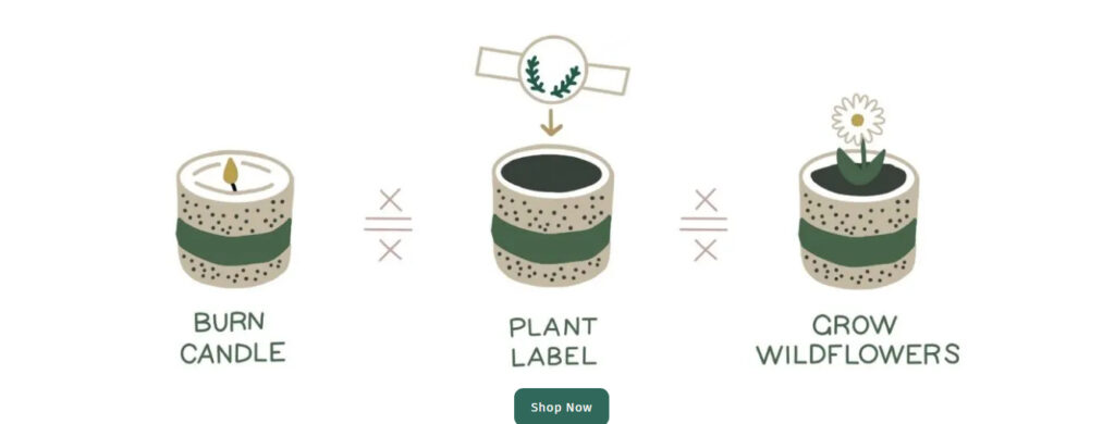 the growing candle shopify candle business