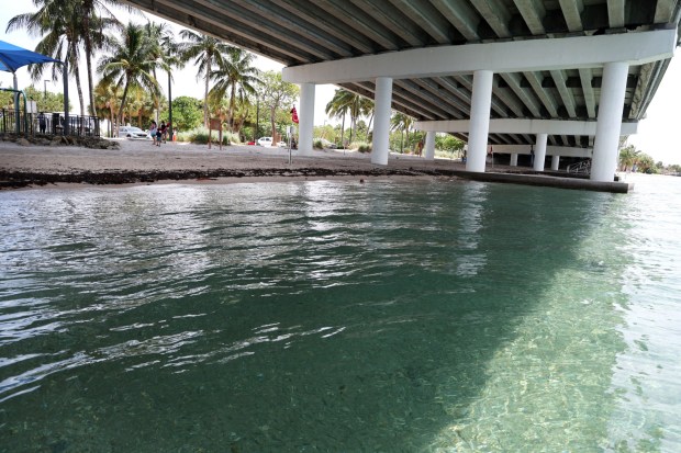 A guarded swimming area under the Blue Heron Bridge leads to the snorkel trail at Phil Foster Park in Riviera Beach. (Carline Jean/South Florida Sun Sentinel)