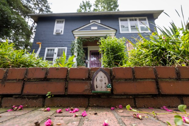 A fairy door is seen in front of the Fairy Tree outside the home of Lisa Suhay in Norfolk, Virginia, on July 26, 2024. Workers recently trimmed back branches of the tree. (Billy Schuerman / The Virginian-Pilot)