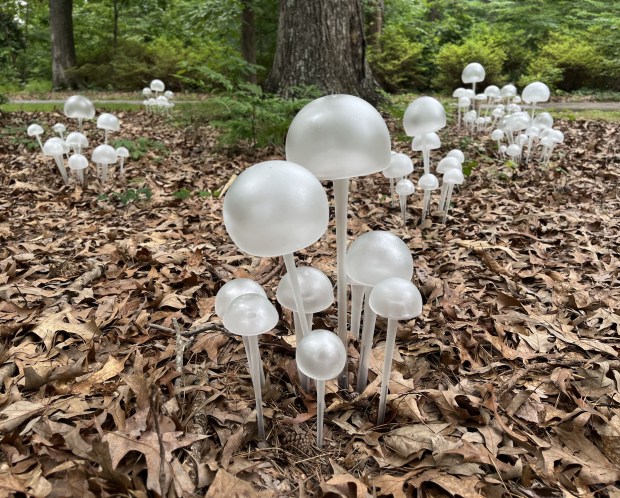 These white mushrooms, along with other "whimsical" creations were designed by community artists for the summer exhibit. (Norfolk Botanical Garden)