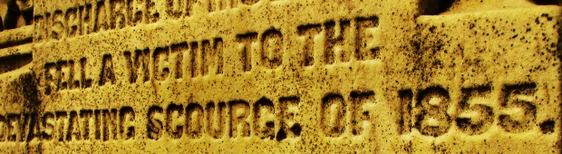 The words "scourge," or "epidemic," or "yellow fever," or "pestilence" are some of the names that tell the story of the fate of the victim laying in rest at gravesite markers in Elmwood Cemetery for victims of the 1855 Yellow Fever outbreak in Norfolk.Photo taken in 2005. (Delores Johnson / The Virginian-Pilot file).
