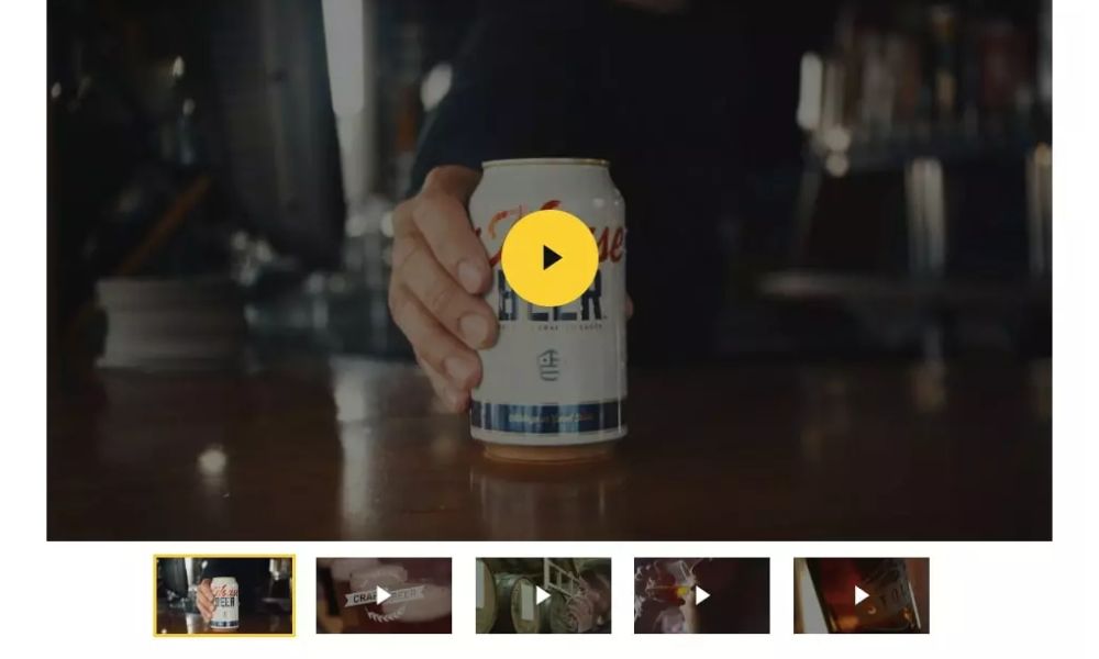 Video Gallery